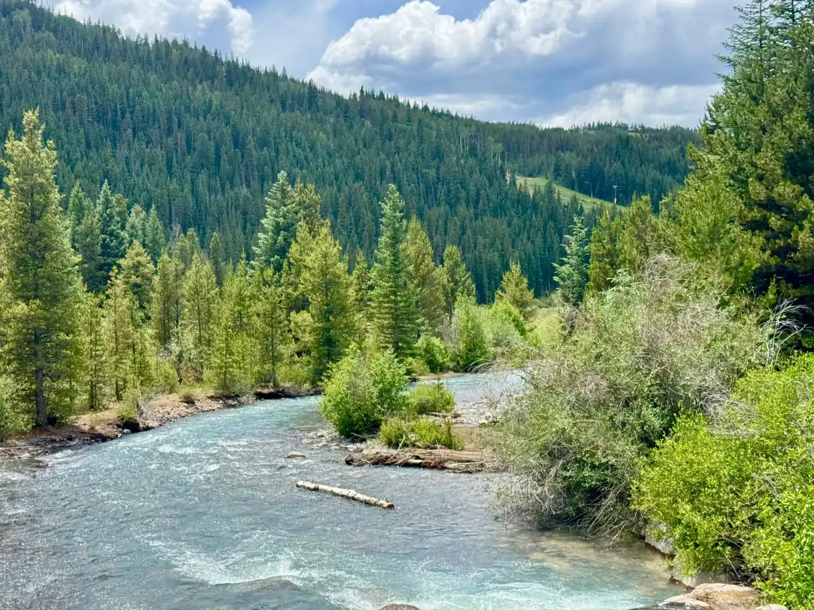 The Alders, The Blue River near the home in Keystone, luxury vacation rental in Keystone, Colorado