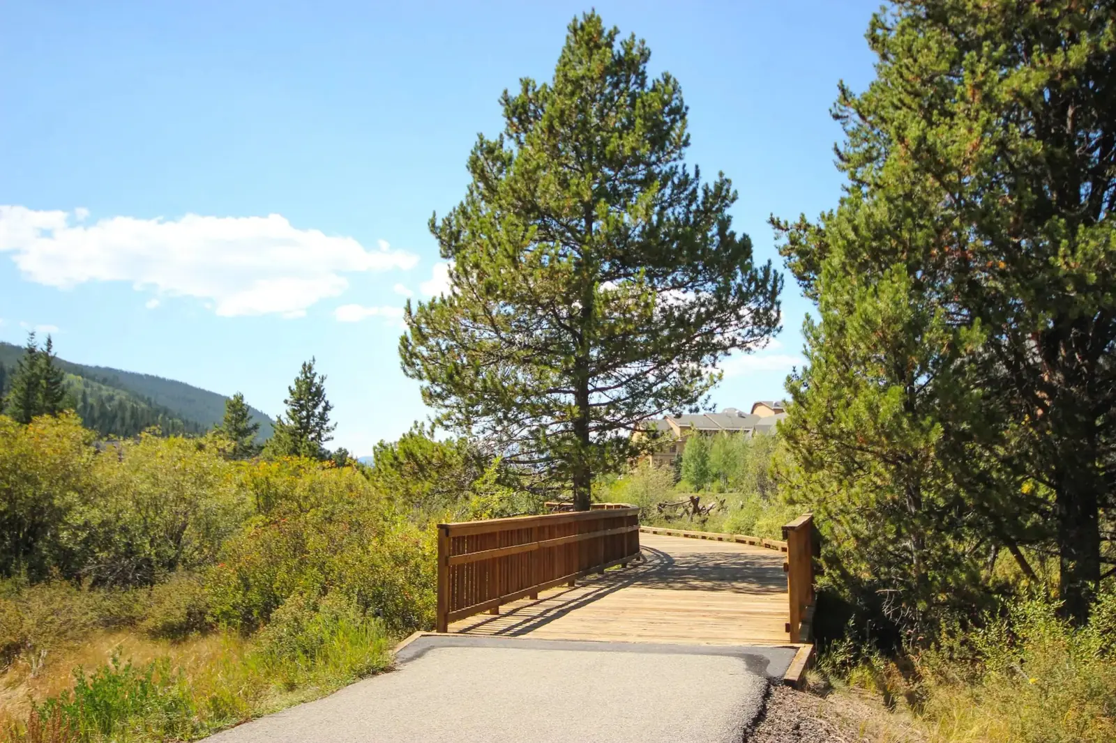 The Alders, Forest path near the home in Keystone, luxury vacation rental in Keystone, Colorado