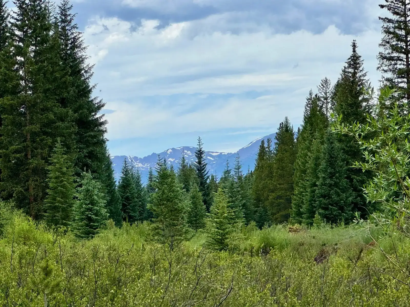 The Alders, Ridgeline view from East Keystone, luxury vacation rental in Keystone, Colorado