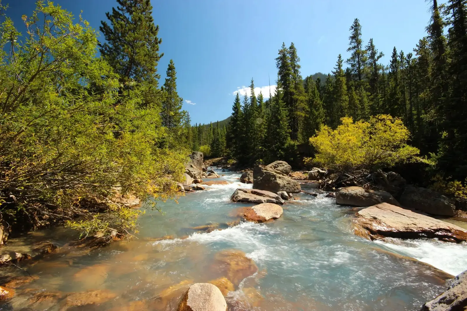 The Alders, Blue River near Dillon and Frisco, luxury vacation rental in Keystone, Colorado